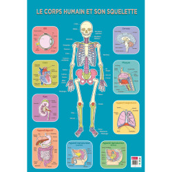 Posters pédagogiques
