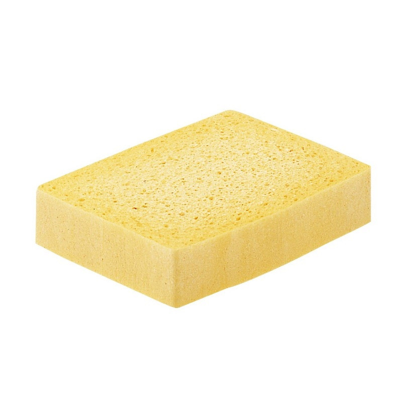 Éponge végétale
