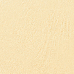 Couvertures grain cuir