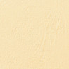 Couvertures grain cuir