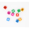 Dice academy