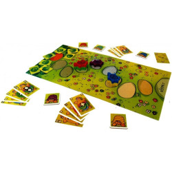 La course des tortues