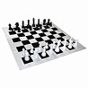 Échecs géants