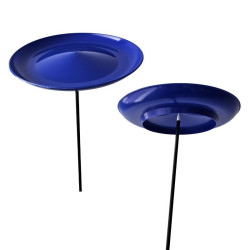 Les assiettes chinoises