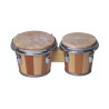 Bongo