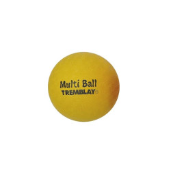 Ballon multi-activités