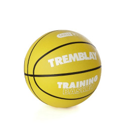 Ballon de basket training