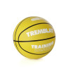 Ballon de basket training