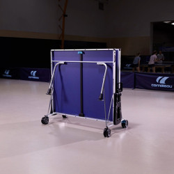 Table ping-pong 300 indoor