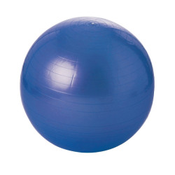 Ballon de gym