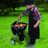 Barbecue weber