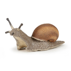 Insectes et jardin