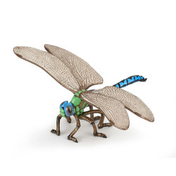 Insectes et jardin