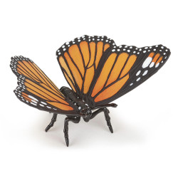 Insectes et jardin