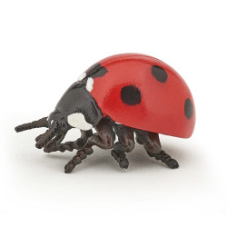 Insectes et jardin