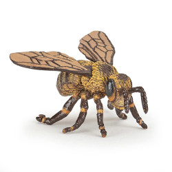 Insectes et jardin