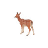 Les animaux de la forêt