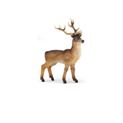 Les animaux de la forêt