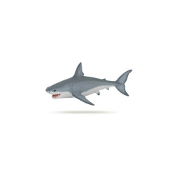 Les animaux marins