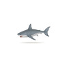Les animaux marins