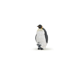 Les animaux marins