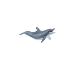 Les animaux marins