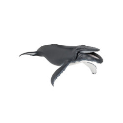 Les animaux marins