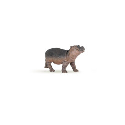 Les animaux sauvages - série 2