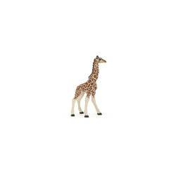 Les animaux sauvages - série 2