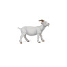 Les fermiers et leurs animaux