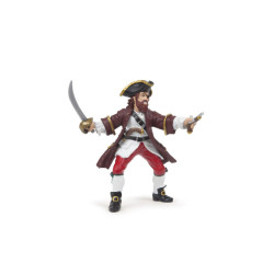 Pirates et corsaires