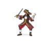 Pirates et corsaires