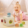 Cube multiformes playbio