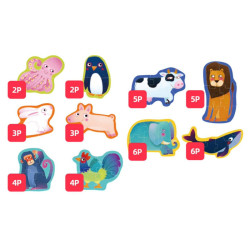 Puzzles évolutifs niveau 1