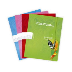 Cahier de travaux pratiques