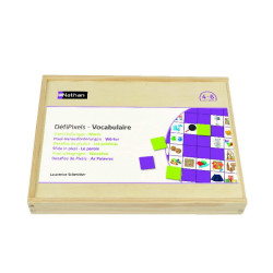 Défipixels - vocabulaire