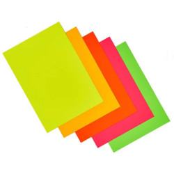 Bristol fluo