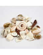Perles diverses : Ogeo, matériel de création de colliers et bracelets en perles