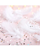 Plumes et paillettes